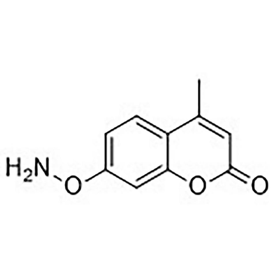 7-O-Amino-4-methylumbelliferone